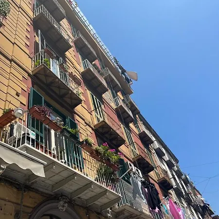 Mafy's House Casa vacanze Napoli